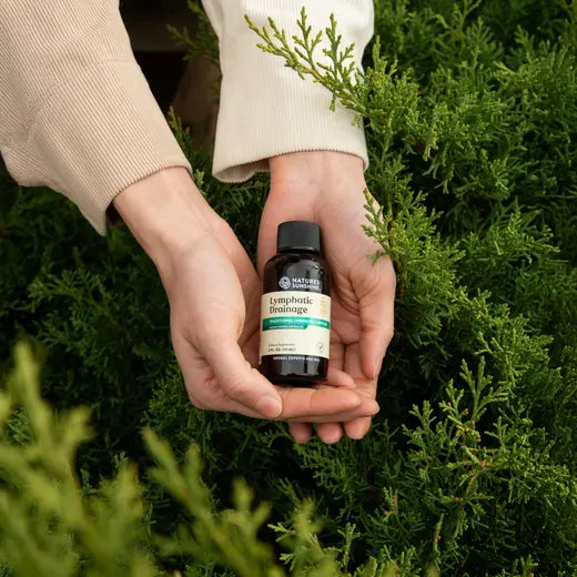 Lymphatic Drainag Supplement | Herbal Blend